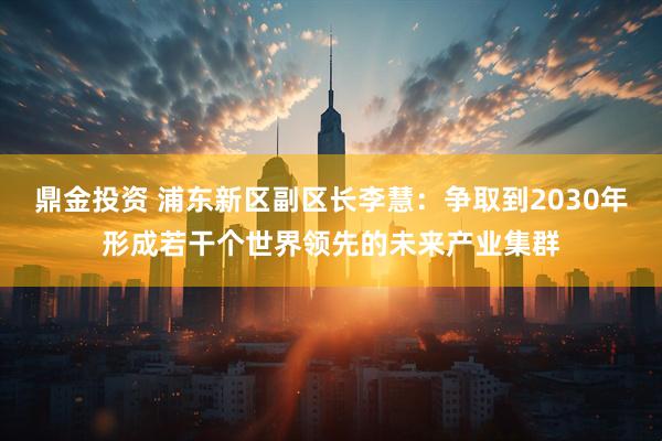 鼎金投资 浦东新区副区长李慧：争取到2030年形成若干个世界领先的未来产业集群